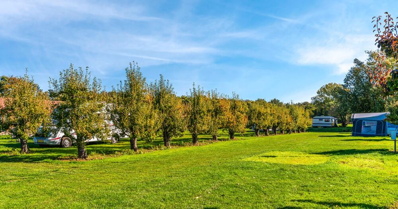 Het Spikkerdal - Camping - Prijzen